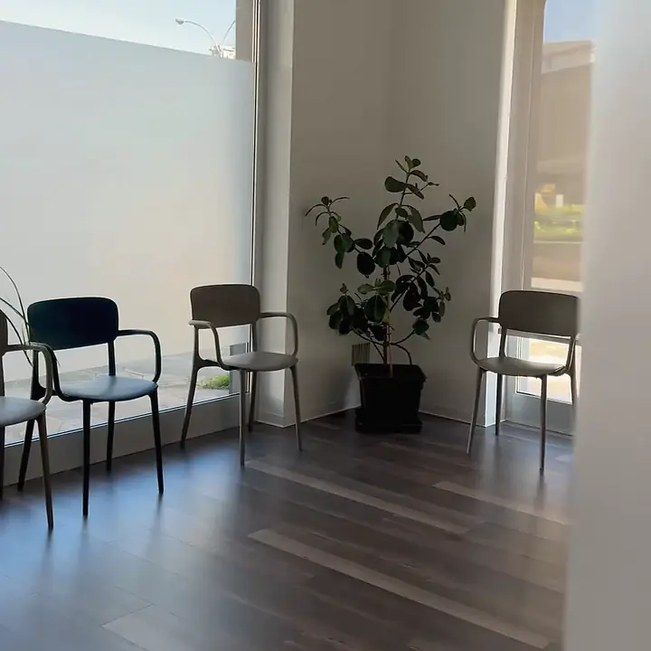 La sala d'attesa dello studio, con le vetrate e le piante